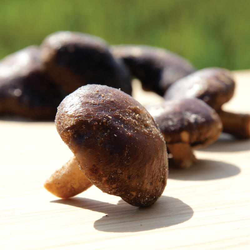 香脆香菇粒【7折】